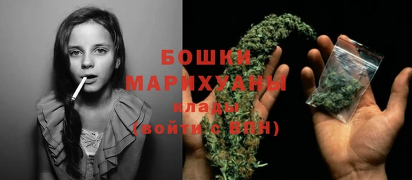 эйфоретик Ельня