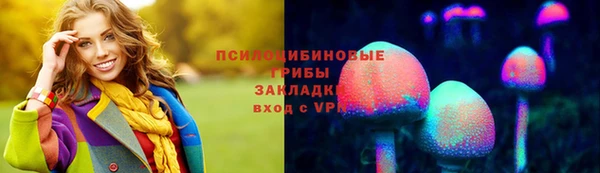 эйфоретик Ельня