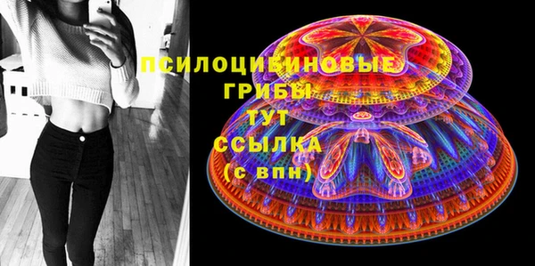 эйфоретик Ельня